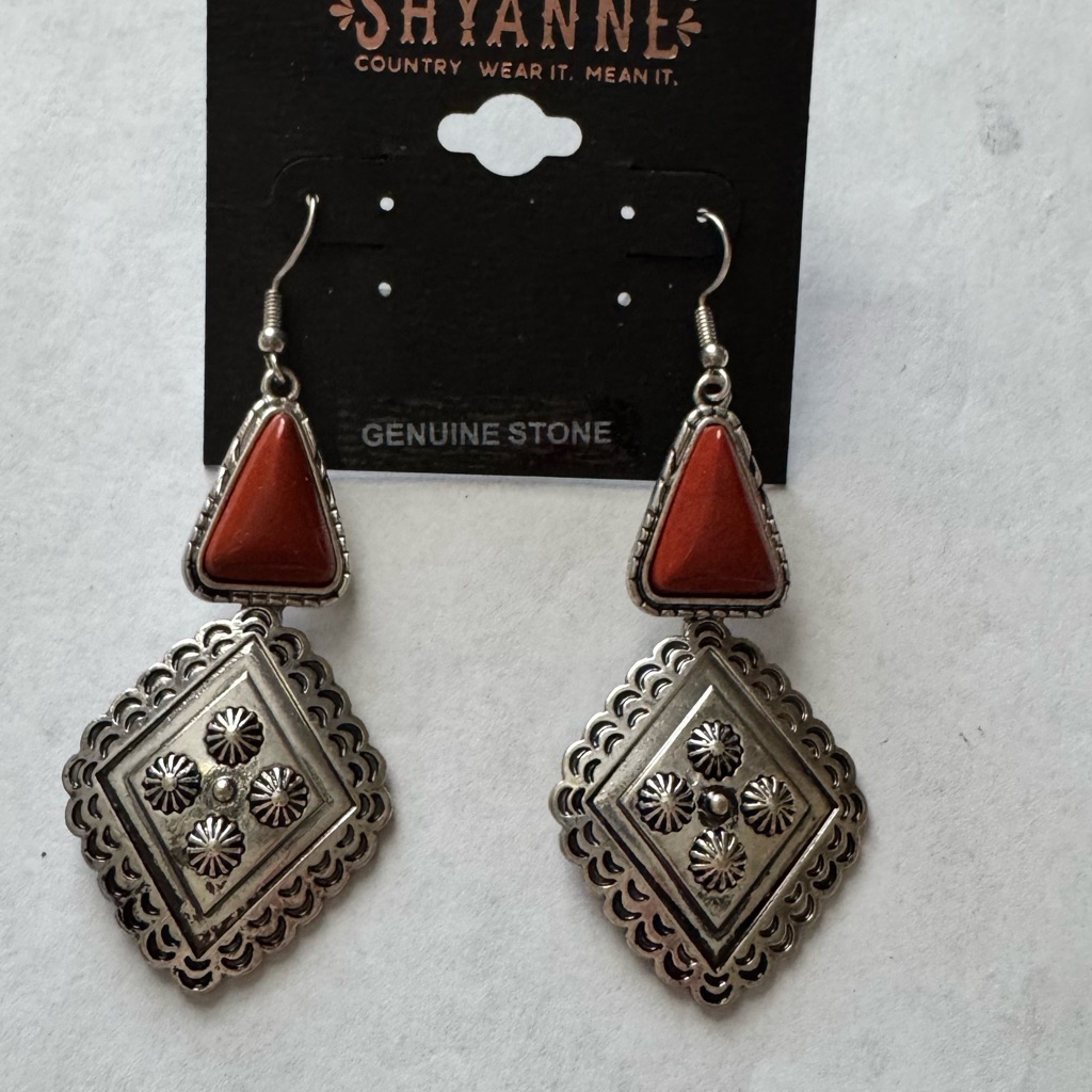 Shyanne- Silver And Brown Drop Earrings 18$